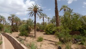 P1090571