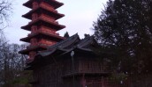 IMG_20201229_164027_1