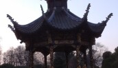 IMG_20201229_164151_1