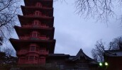 IMG_20201229_164845_1