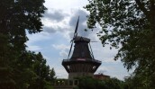 IMG_20210711_144423